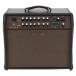 Boss Acoustic Singer Pro Amplifier - Secondhand