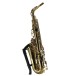 Trevor James Classic II Alto Saxophone, Gold - Secondhand