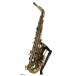 Trevor James Classic II Alto Saxophone, Gold - Secondhand
