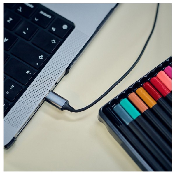 Panasonic RP-TCM225DE USB-C Earphones, Black - Lifestyle Image, use picture, connected to laptop