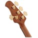 Music Man StingRay Special HH, Cherry Punch  -back 