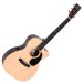 Sigma 000TCE Electro Acoustic, Natural Front View