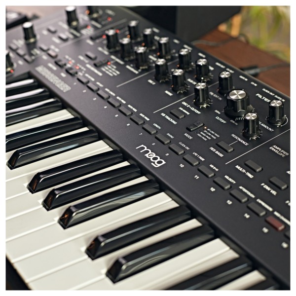 Moog Messenger Monophonic Analog Synthesizer - Lifestyle