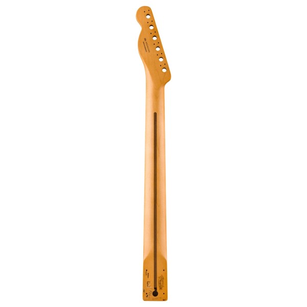 Fender Player II Series Telecaster Neck, 22 Medium Jumbo Frets, Rosewood, 9.5", Modern "C" - back 