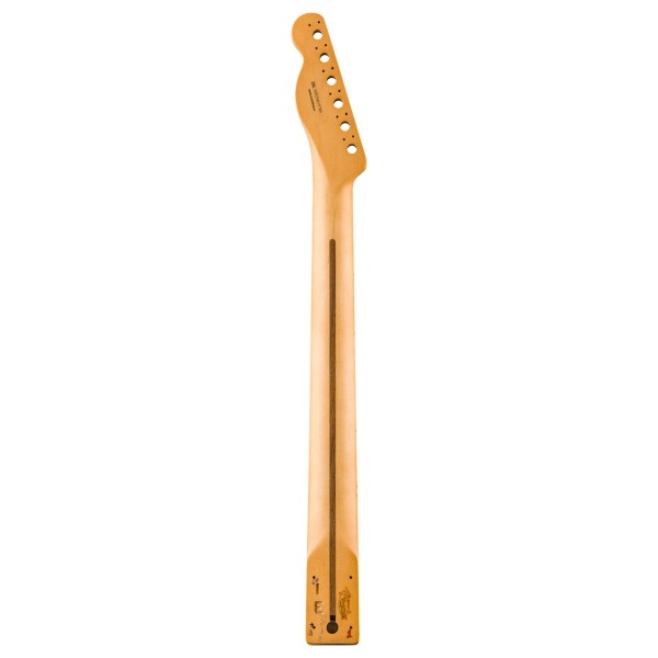 Fender Player II Series Telecaster Neck, 22 Medium Jumbo Frets, Maple, 9.5", Modern "C" - back 