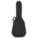 Furch Guitars Vintage 2 D-SR w/ EAS-VTC - gig bag 
