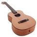 Furch Guitars Little Jane LJ 10-CM w/EAS-VTC - body and neck 