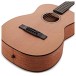 Furch Guitars Little Jane LJ 10-CM w/EAS-VTC - body 
