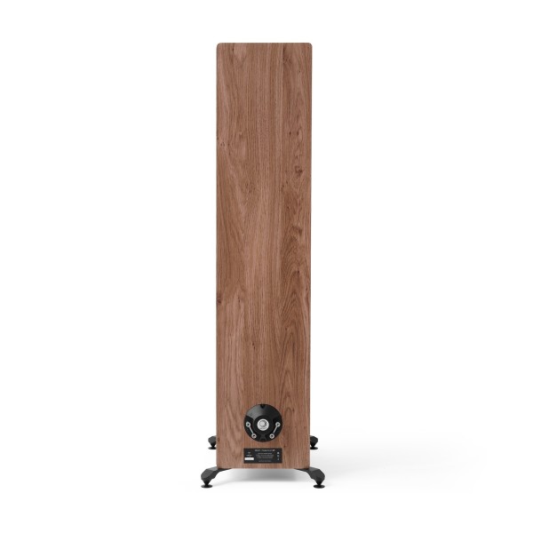 Elipson Prestige Facet II 24F Floorstanding Speakers (Pair), Black Matt / Walnut - Rear view, and speaker cable terminals