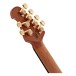 Music Man BFR JP15, Toxic Sludge - headstock back 
