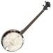 Tanglewood TUB4 Tenor Banjo - front