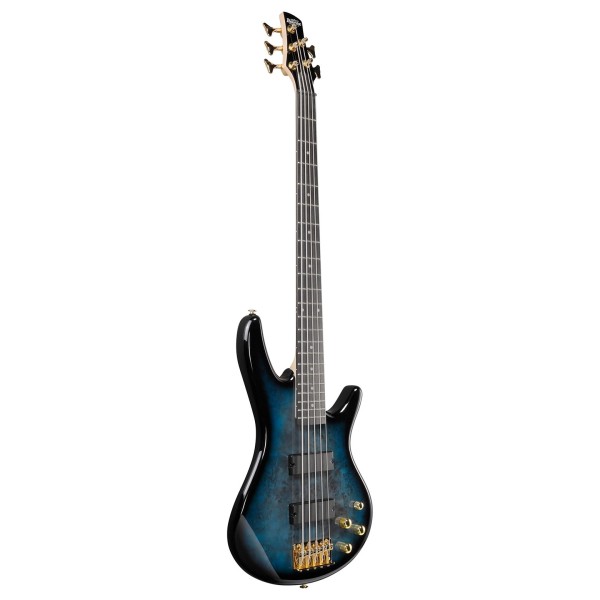 Ibanez GSR205PC 5 String Bass Guitar, Transparent Marine Burst - angle 