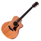 Taylor 24ce, Natural
