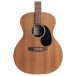 Martin GP-X2E Sapele Ziricote - body 
