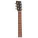 Martin GP-X2E Sapele Ziricote - headstock 