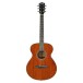 Ferndale Ga2 Grand Auditorium Mahogany - Front