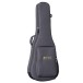 Martin SC-10E Satin, Spruce - case 