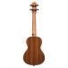Ferndale Ut-w Ukulele Tenor Walnut - Back