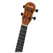 Ferndale Ut-w Ukulele Tenor Walnut