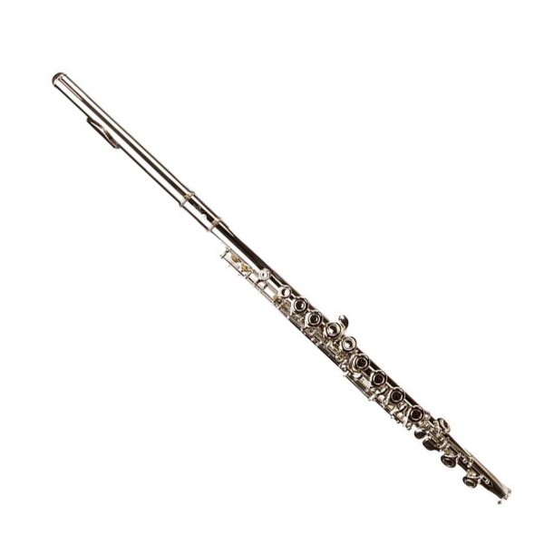 Forte Fl1 Flute Outfit