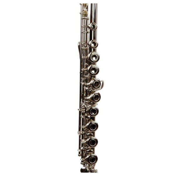Forte Fl1 Flute Outfit
