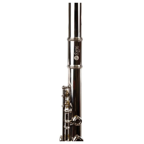 Forte Fl1 Flute Outfit