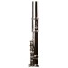 Forte Fl1 Flute Outfit