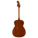 Fender California Standard Monterey E, Spruce Top, 3-Color Sunburst - back 