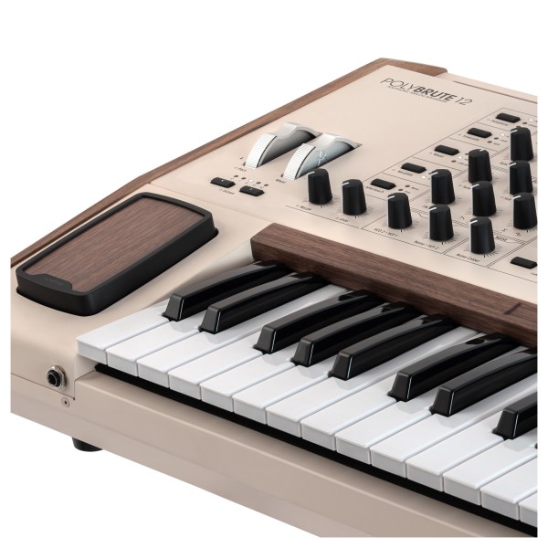 PolyBrute 12 - Angled Detail