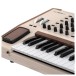 PolyBrute 12 - Angled Detail