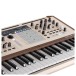 Arturia Polybrute 12 - Angled Detail 2
