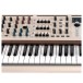 Arturia Polybrute 12 - Front Detail