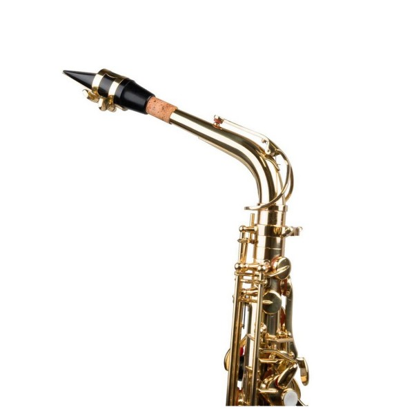 Forte As1 Eb Alto Saxophone Outfit