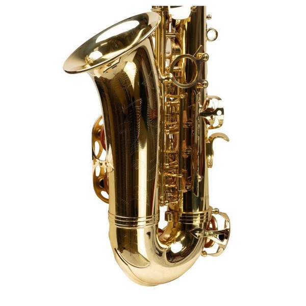Forte As1 Eb Alto Saxophone Outfit