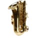 Forte As1 Eb Alto Saxophone Outfit