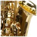 Forte As1 Eb Alto Saxophone Outfit