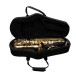 Forte As1 Eb Alto Saxophone Outfit