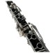 BC2541-2-0GB-EXDEMO-CCU9971
