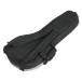 Tourtech TTB-10MA Mandolin Bag - Rear