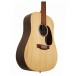 Martin D-X2E Brazilian Rosewood 12 String