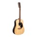 Martin D-X2E Brazilian Rosewood 12 String
