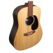 Martin D-X2E Brazilian Rosewood 12 String