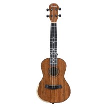 Ferndale Uc-w Ukulele Concert Walnut