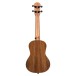Ferndale Uc-w Ukulele Concert Walnut