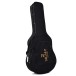 Sigma ATA-100E Archtop - case 