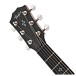 Taylor 414ce-R Electro Acoustic Left Handed, Sunburst