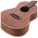 Martin 2k Tenor Ukulele, Solid Koa