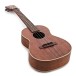 Martin 2k Tenor Ukulele, Solid Koa