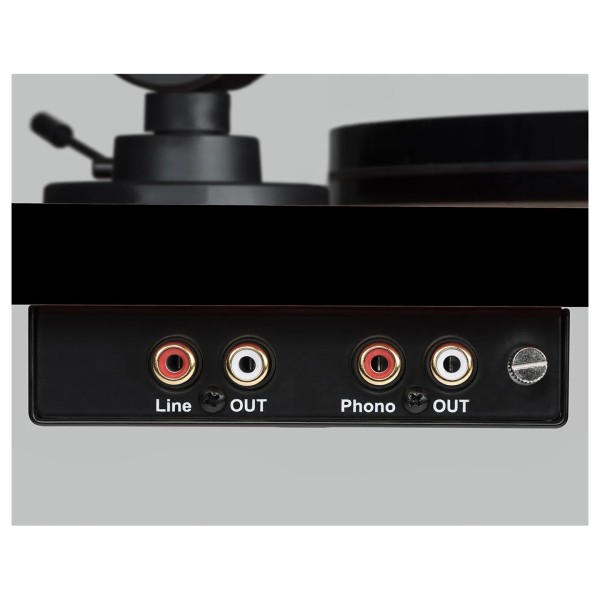 Pro-Ject Peanuts Special Edition Turntable - RCA and phono outputs