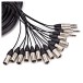 Studiospares 12 XLR/4 Jack Stage Box & Snake, 8m